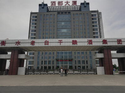 衡水老白干-案例